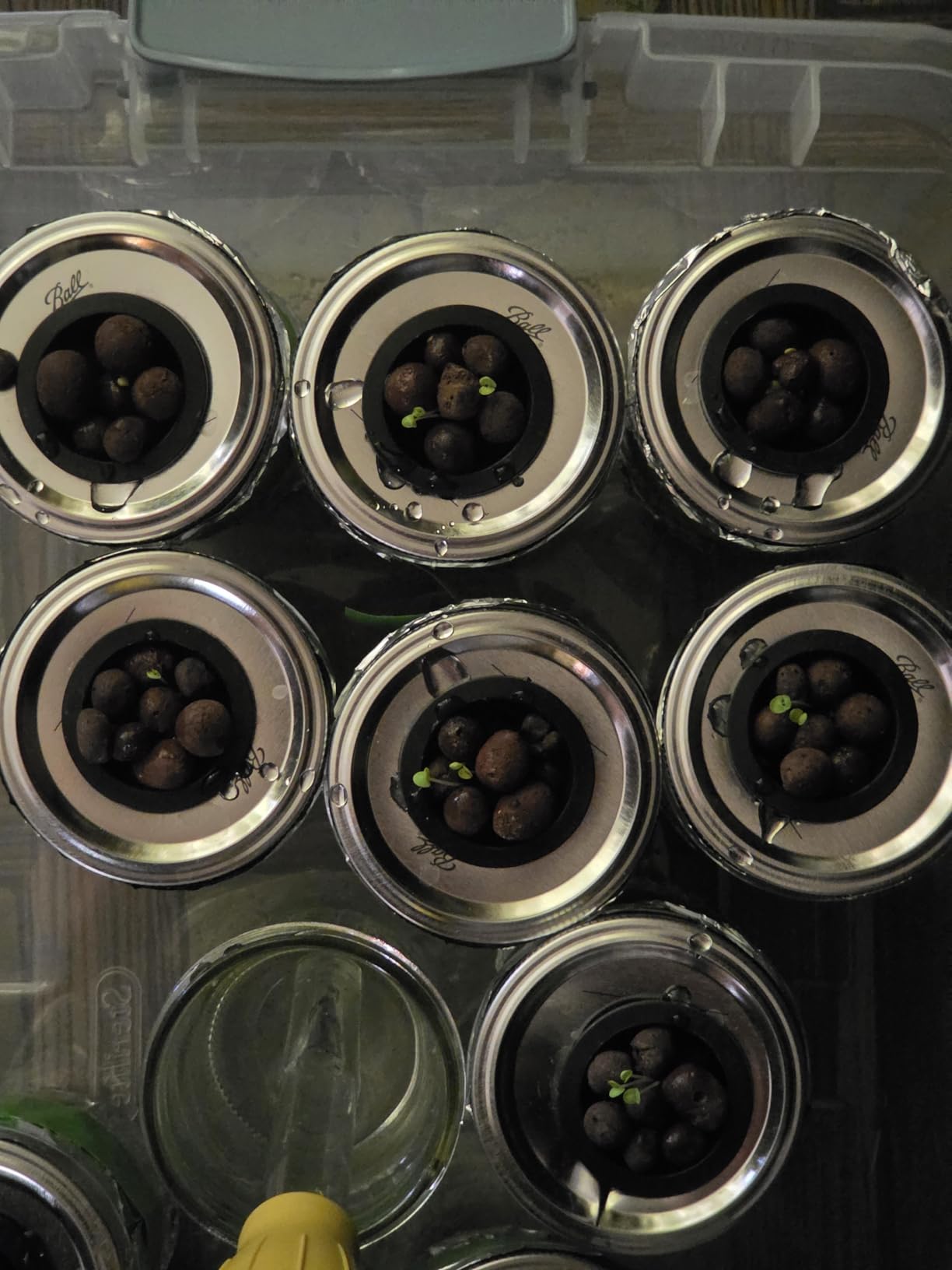 SPECILITE Hydroponics Growing System Kit with Grow Light, 5 Tiers 20 Pods customer photo 2