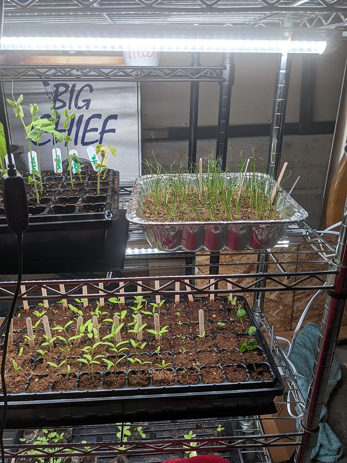 JESLED Indoor Greenhouse with Grow Light, 35.4x13.8x59IN customer photo 2