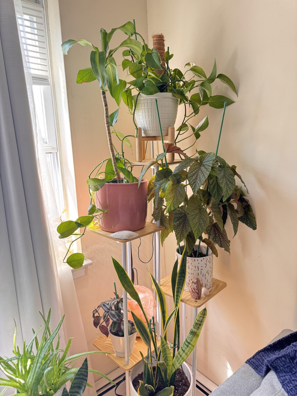Bamworld Tall Plant Stand Indoor with Grow Light Corner Plant Shelf customer photo 1