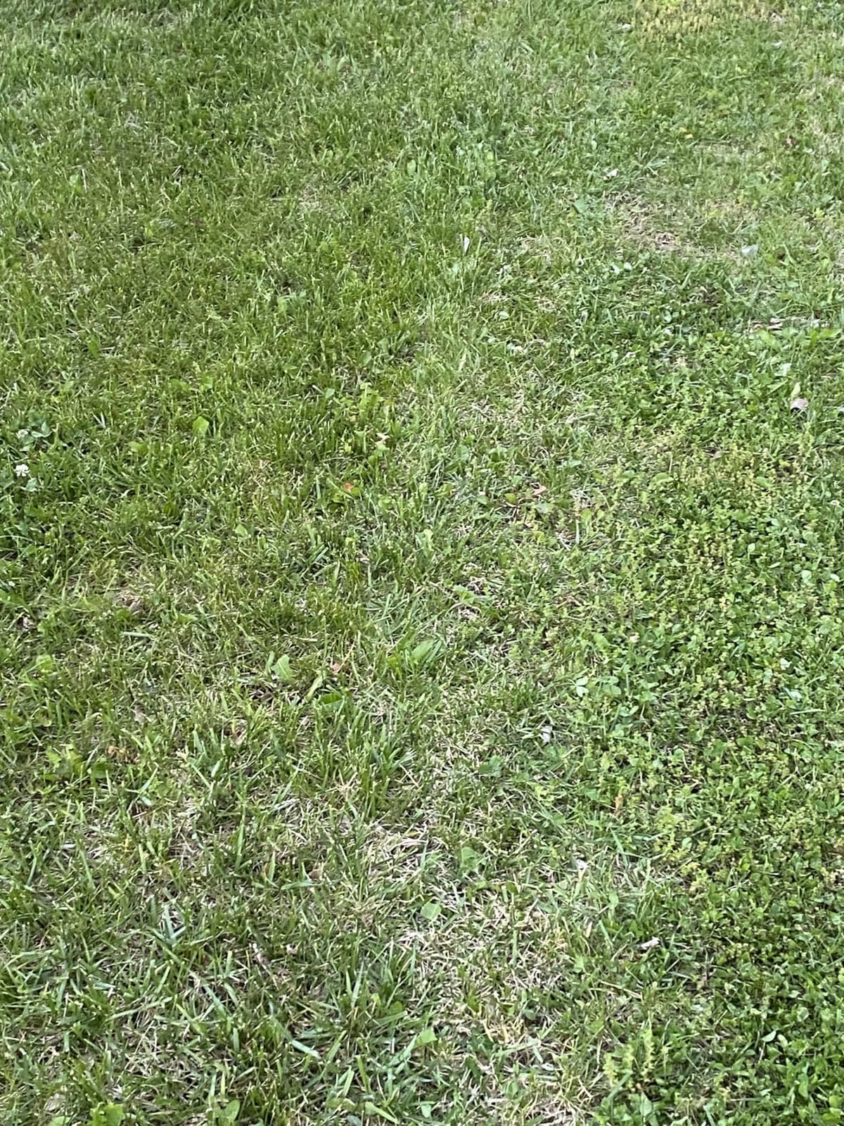 ANTHBOT M9 Robotic Lawn Mower with Garage, 1/4 Acre Wire-Free NRTK & Vision customer photo 2
