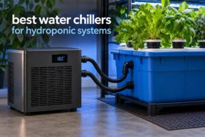 best water chillers for hydroponic systems