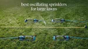 best oscillating sprinklers for large lawns