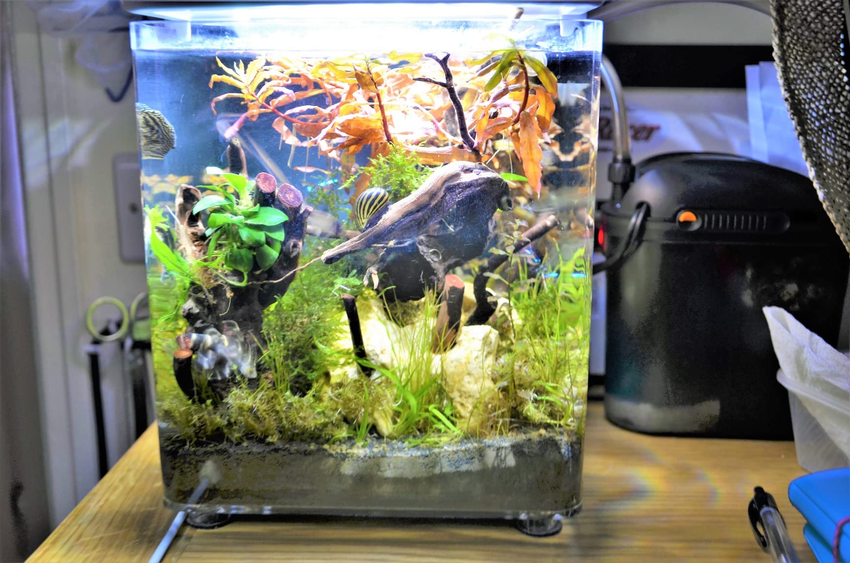 Zoo Med Turtle Clean 15 External Canister Filter customer photo 1