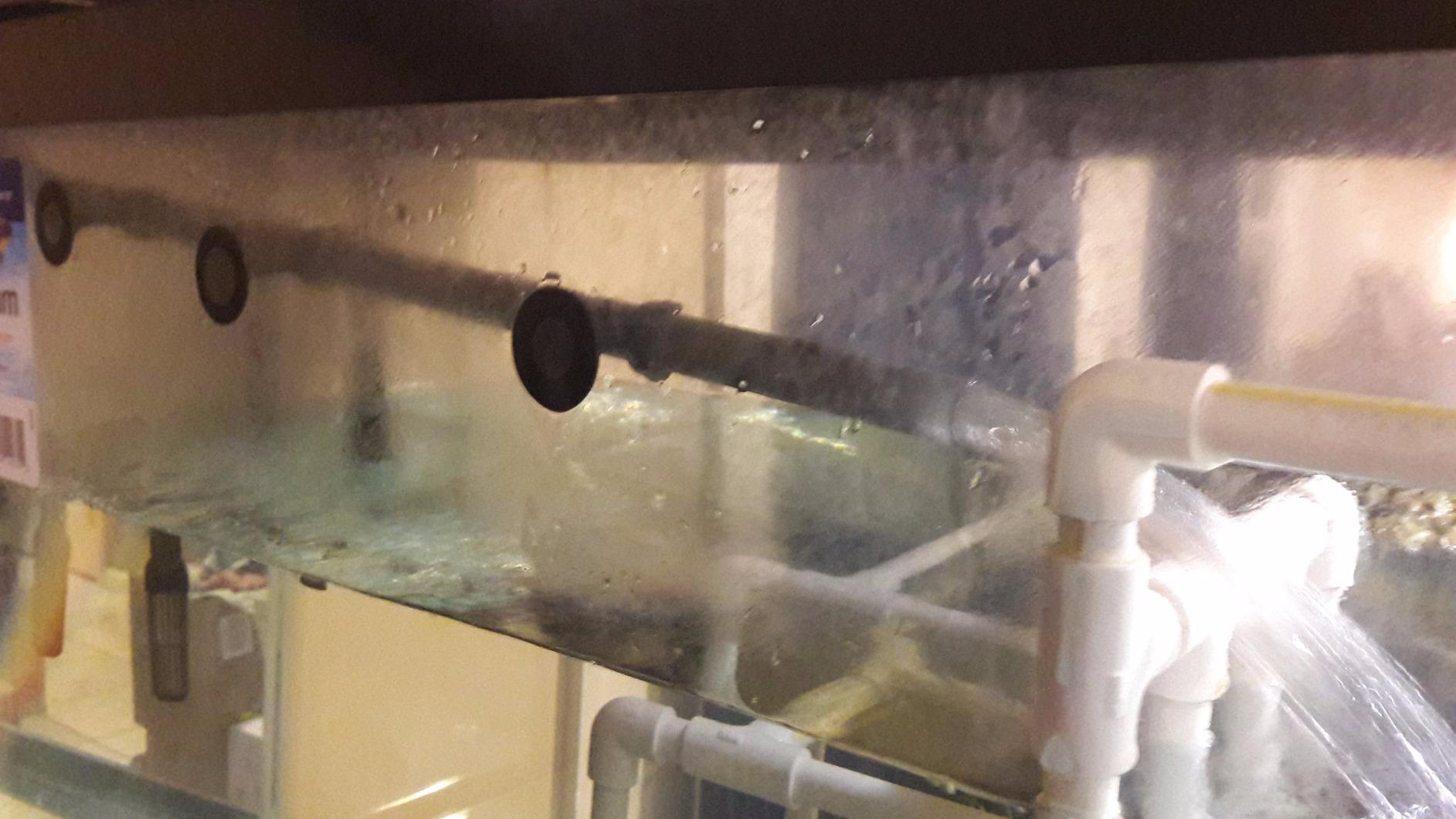 Penn-Plax Cascade 1200 Canister Filter, 315 GPH for Tanks Up to 150 Gallons customer photo 2