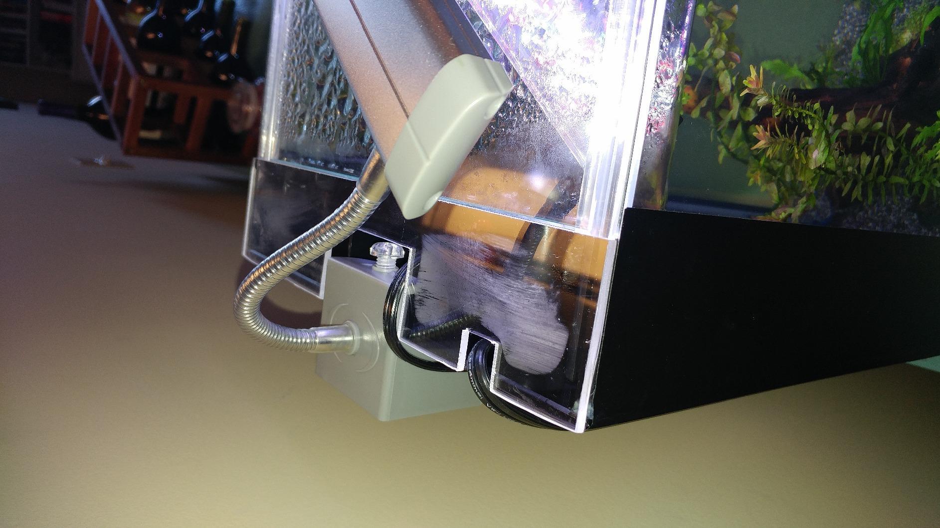Marineland Portrait Glass LED Aquarium Kit, 5 Gallons, Hidden Filtration,Black customer photo 2