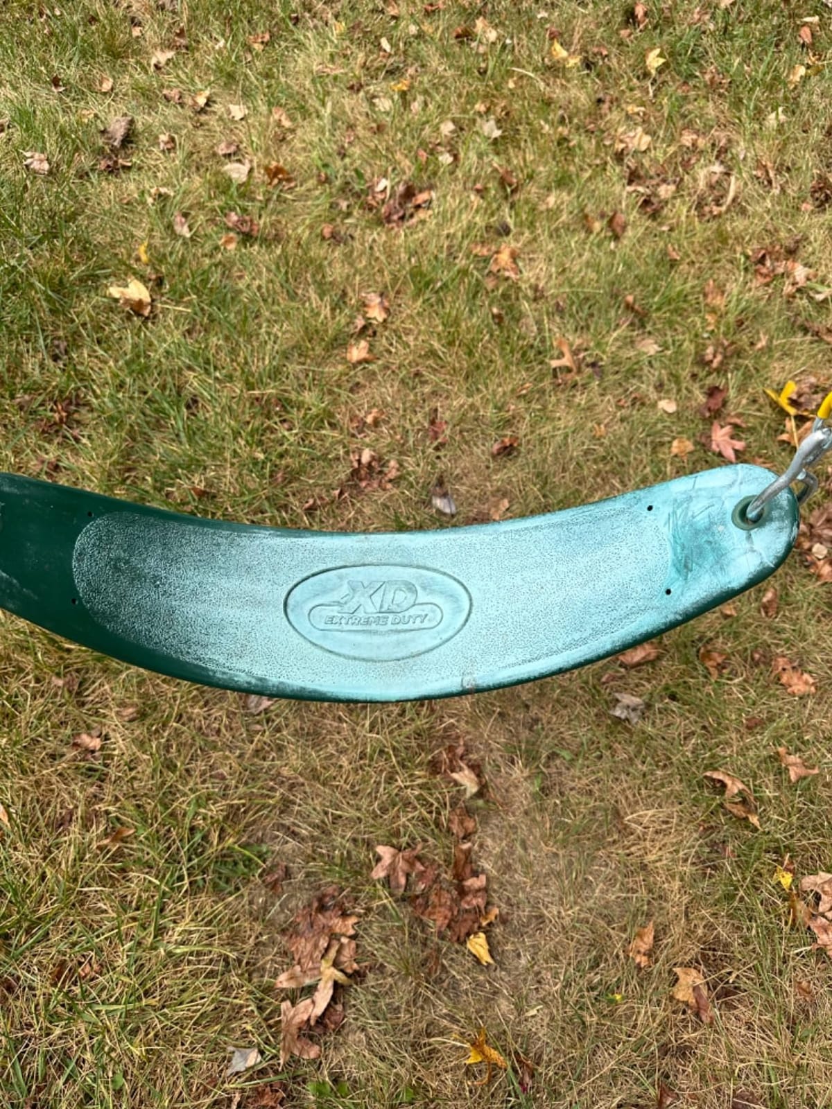 Swing-N-Slide Heavy Duty Swing Seat, Blue customer photo 2