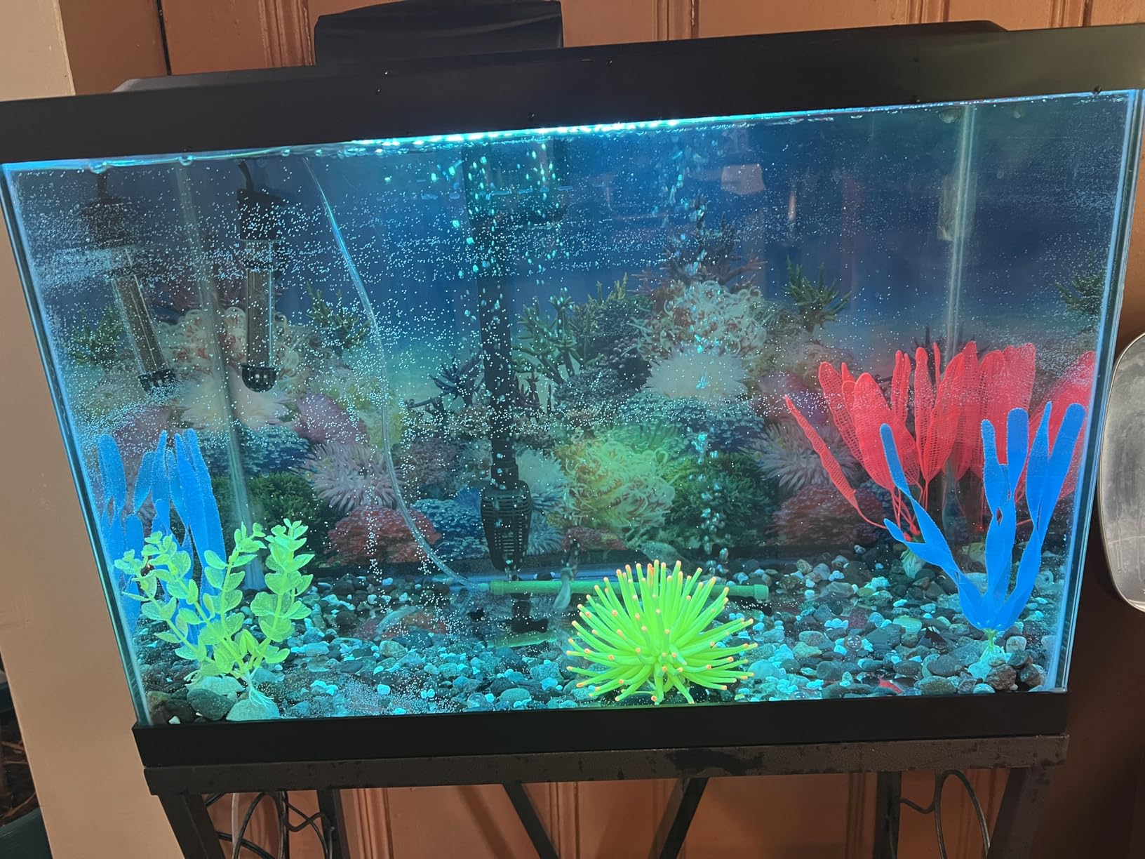 Tetra Color Complete 20 Gallon Fish Tank Kit for Freshwater, Saltwater Fish customer photo 2