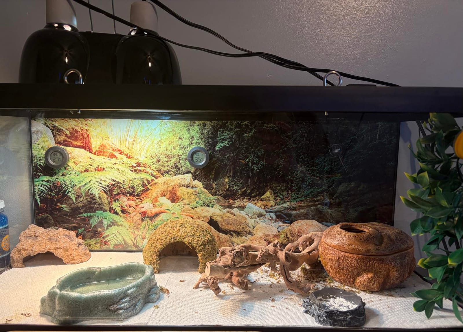 Galápagos (05400) Terrarium Background Clings, 11.125