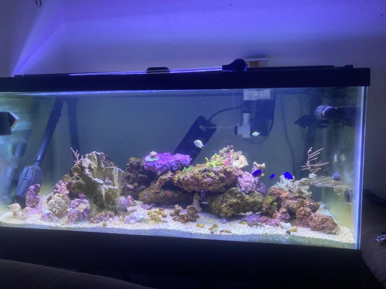 Fluval Sea Marine 3.0 LED Aquarium Lighting for Coral Growth, 36-46 Inches customer photo 1