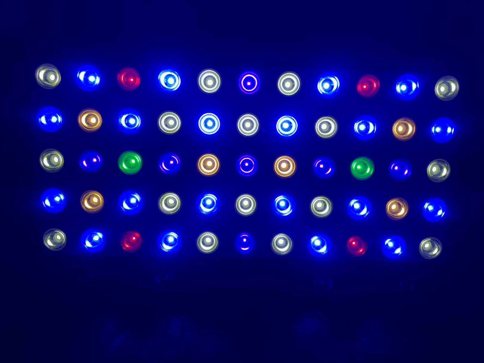 Wills Aquarium Light, 100W Full Spectrum LED Reef Lights, 16