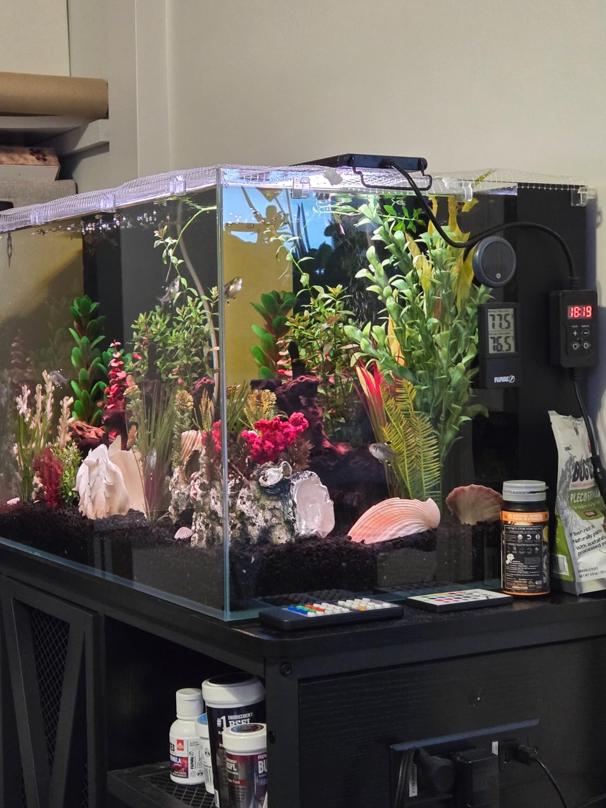 LIFEGARD Low Iron Ultra Clear 4 Gallon Crystal Aquarium with Built in Back Filter with High Polish Filter Sock – 45° Beveled Edge, Rimless Glass, Rectangular Style with Directional Jet Flow customer photo 2