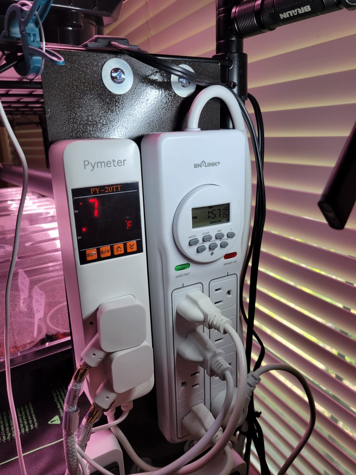 Digital Temperature Controller Dual Probe Reptile Thermostat Controlled Outlet for Terrarium Heat Mat Heating Pad, Switch Cooling Fan Freezer Fridge ON & Off at Setpoints 10A 1200W customer photo 2