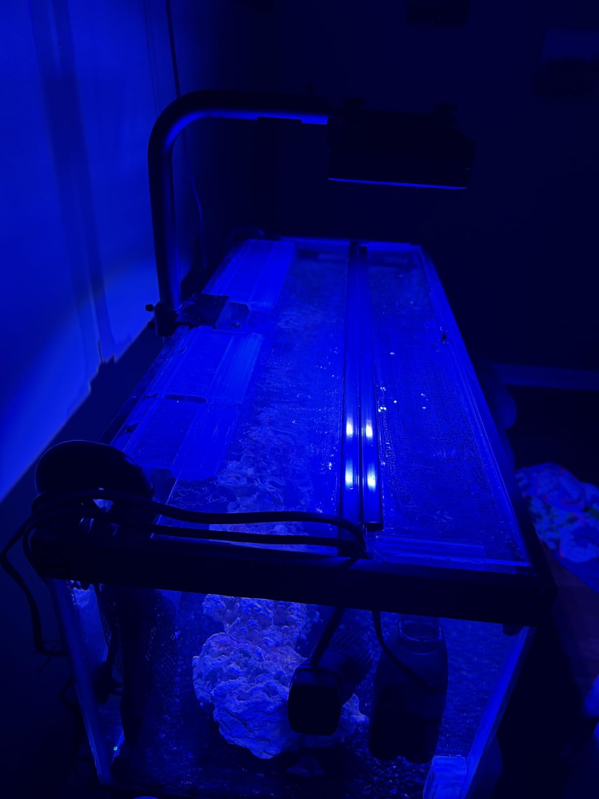 Aquarium Light - 95 Watt Sunrise Sunset Moonlight, Group Control Program Coral Reef Light Dimmable Full Spectrum for Marine Tanks,Saltwater Tank Light with Timer (Brackets) customer photo 2