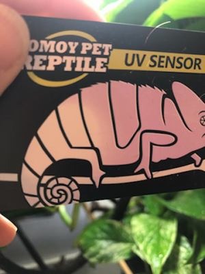 Quick Test UVB Sensor, Reptile UV Tester Heating Lamp Photochromic UVB Card Indicator,Available with UVB, Suitable for Sunglass Test & Sterilizing, Over 500 Times Reusable (2 Packs) customer photo 1