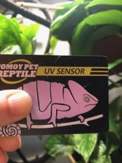 Quick Test UVB Sensor, Reptile UV Tester Heating Lamp Photochromic UVB Card Indicator,Available with UVB, Suitable for Sunglass Test & Sterilizing, Over 500 Times Reusable (2 Packs) customer photo 2