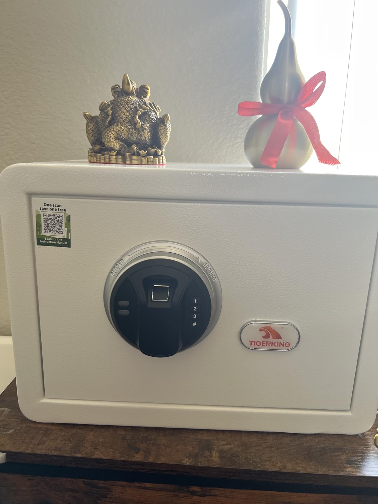 TIGERKING Biometric Small Home Safe with key and digital keypad customer photo 1