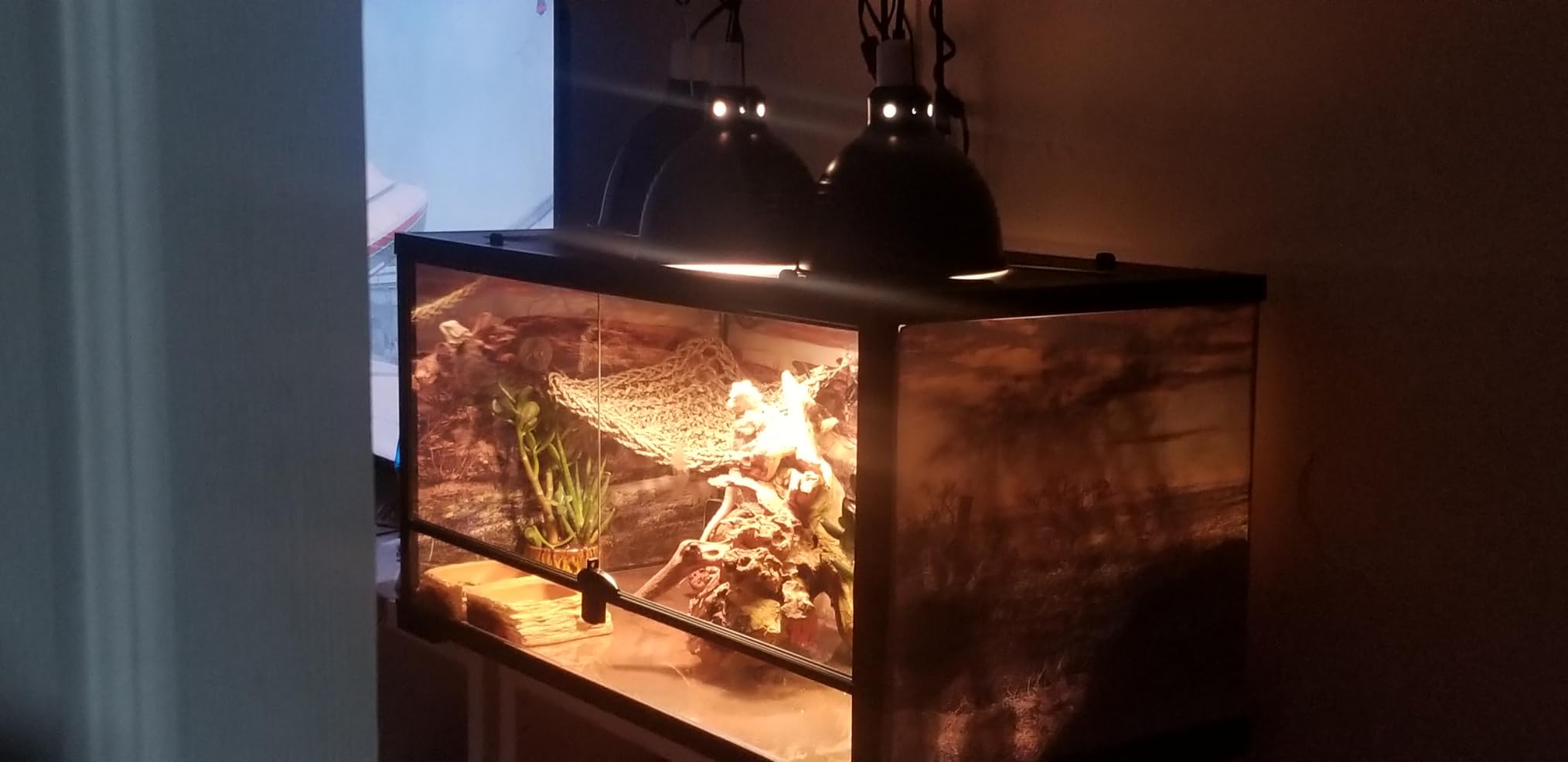 36x18 in Desert Reptile Habitat Backdrop Oasis Cactus Terrarium Background customer photo 1