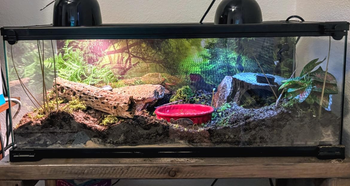 Forest Green Tree Terrarium Backdrop Reptile Habitat Background 36x18 in customer photo 2