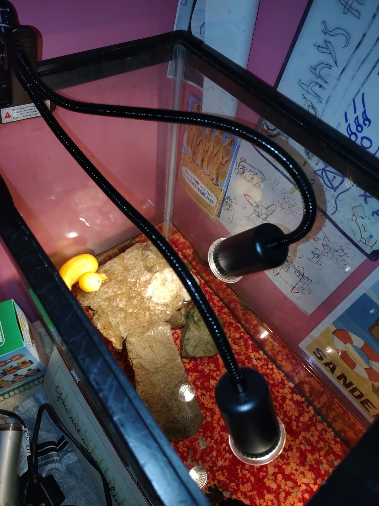 TFNN Reptile Heat Lamp, Double-Head Heat Lamp with Clamp, UVA UVB Reptile Light with Intelligent Cycle Timer for Turtle, Bearded Dragon, Lizard and More, 2 Bulbs 25W+50W customer photo 1