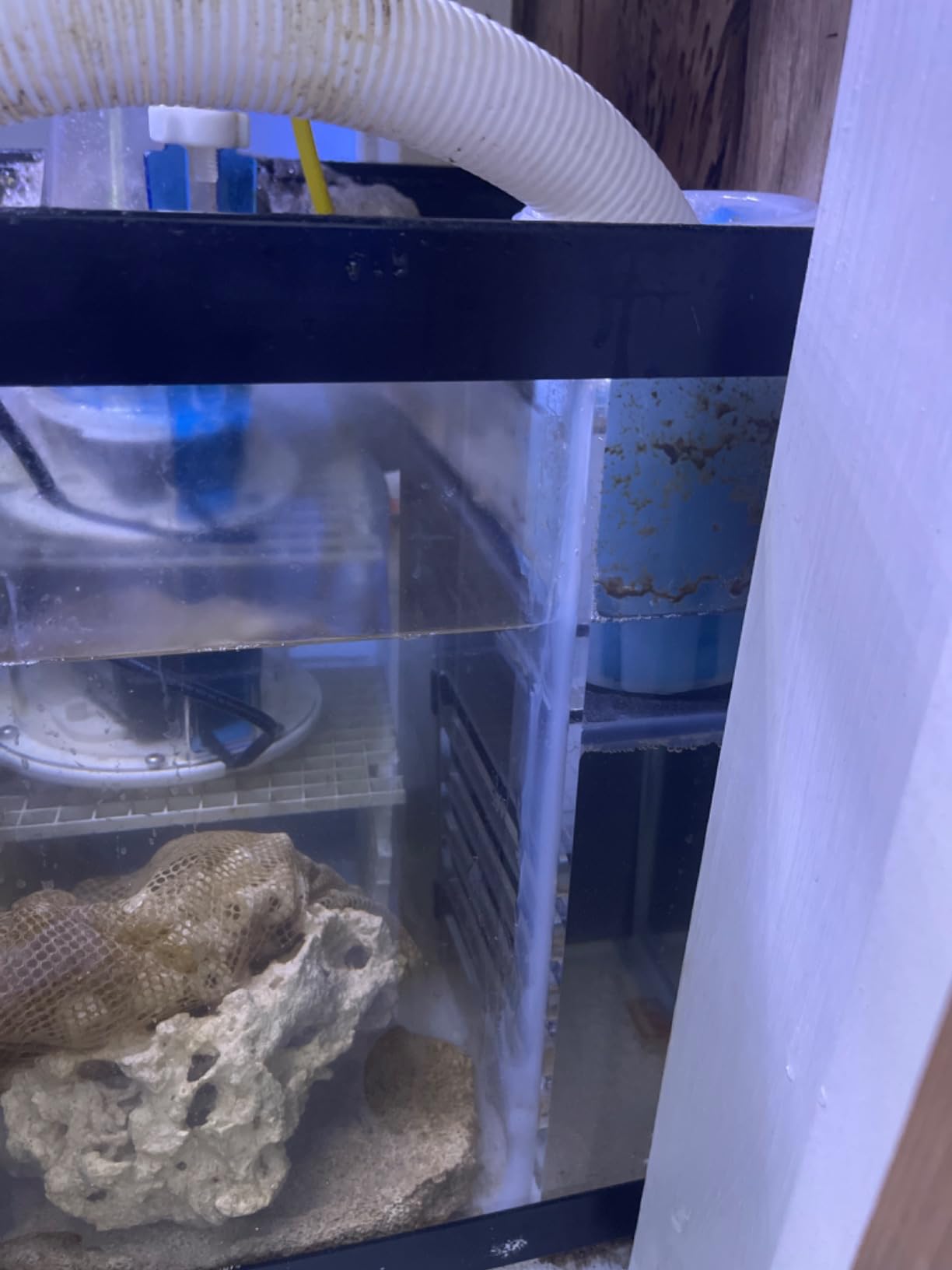 LYL LEYOULAND Adjustable Sump Baffle Kit - Refugium Kit for 40 Gallon Breeder Tank - Reef Aquarium - Saltwater Aquarium Filter System- Protein Skimmer Sump customer photo 2