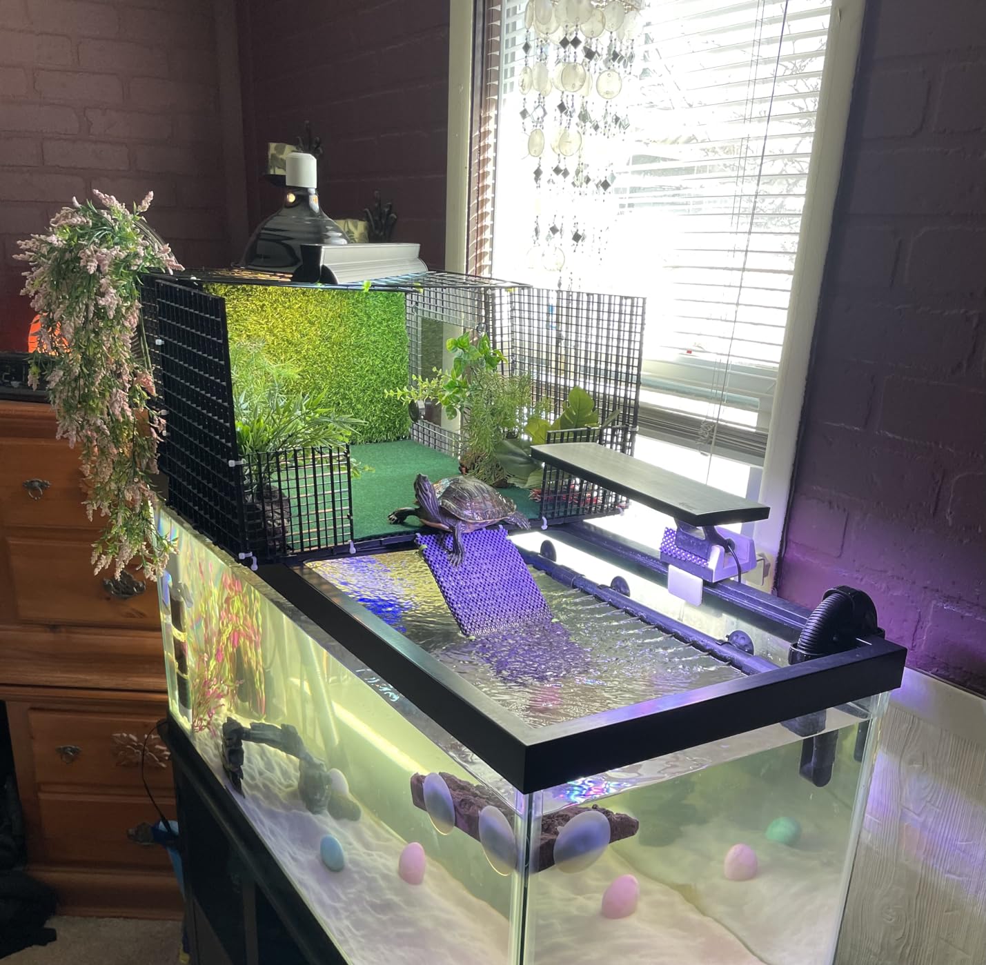 24W T5 HO UVB Reptile Light Fixture Kit, Terrarium Hood Light with Desert UVB 10.0 Fluorescent Tube, Ideal for Tropical and Desert Habitats customer photo 2