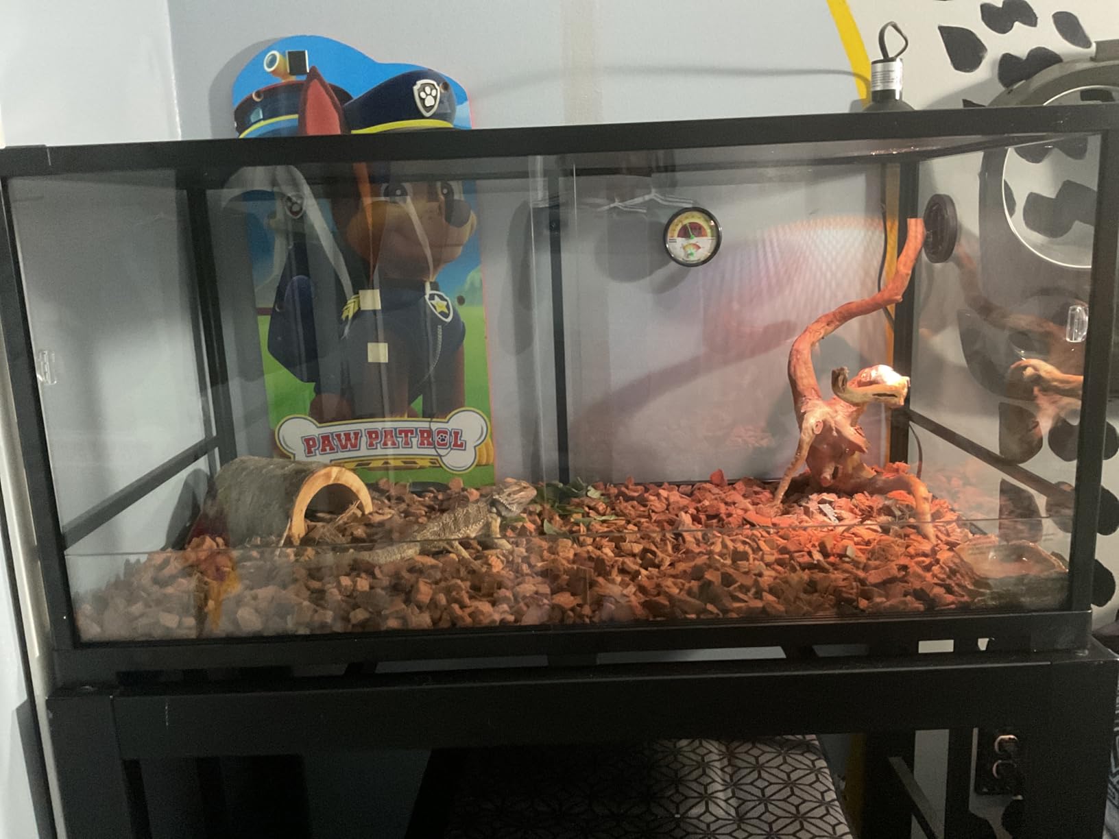 67 Gallon Reptile Tank, Glass Reptiles Terrarium 48