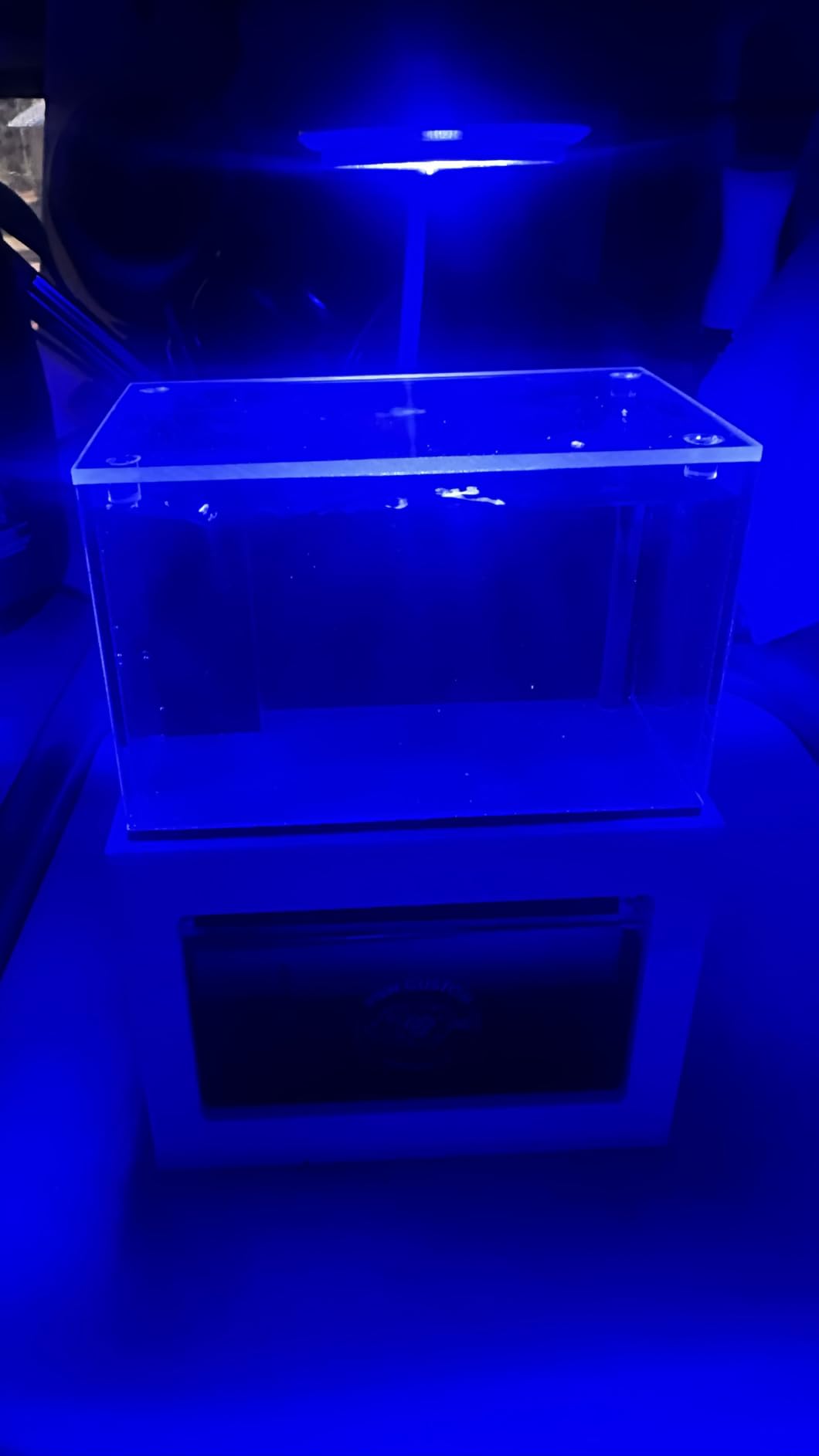 40 oz (Black) Micro Reef Ready Aquarium | Small Desktop Saltwater Fish Tank with LED Light, Sump, Pump | Freshwater & Saltwater customer photo 1
