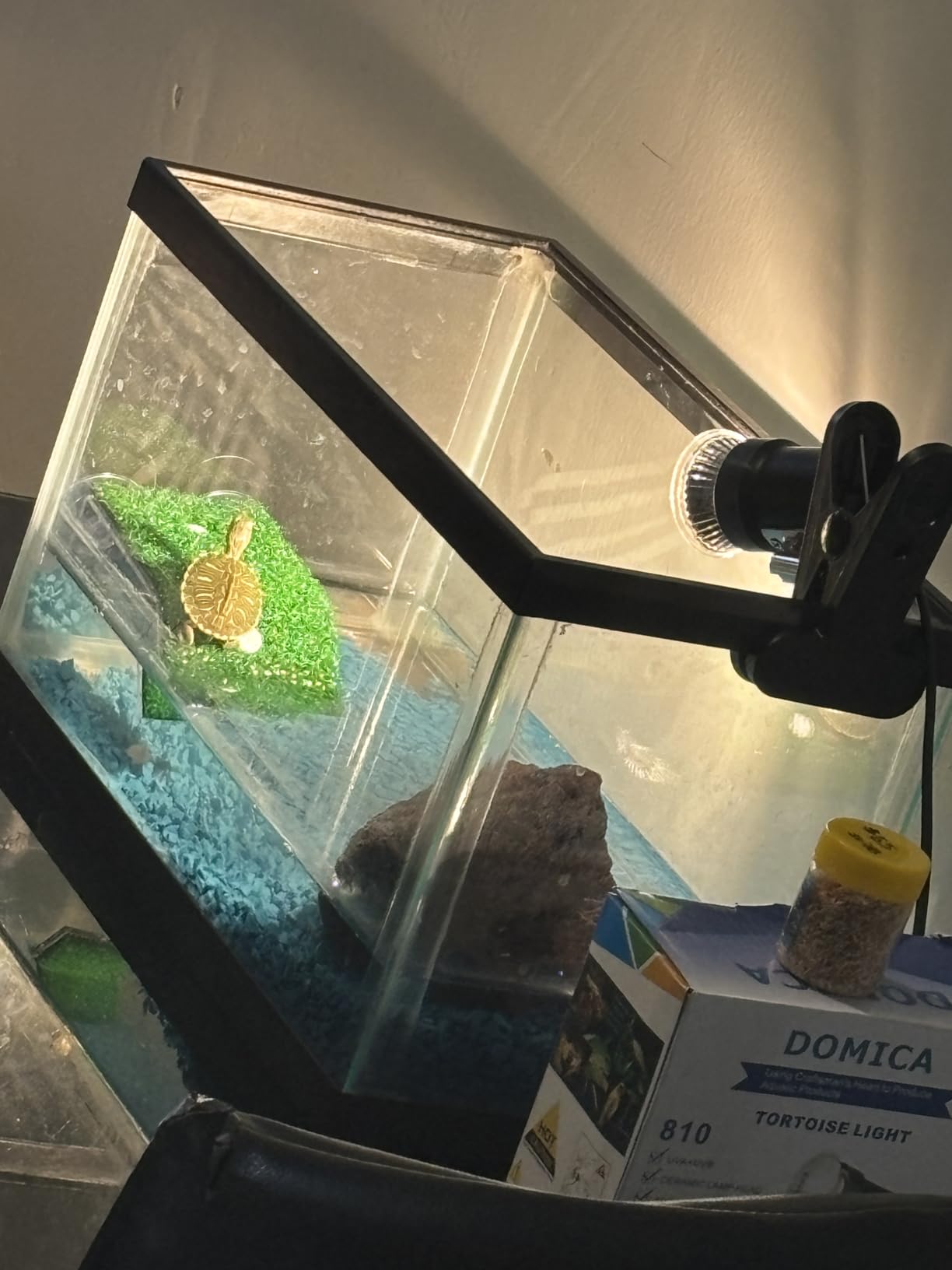 DOMICA Reptile Heat Lamp with 50W UVA UVB Light Bulb, Basking Spot Light Simulated Sunlight, Heating Lamp for Turtle, Lizard, Snake, Beared Dragon, Amphibians customer photo 2