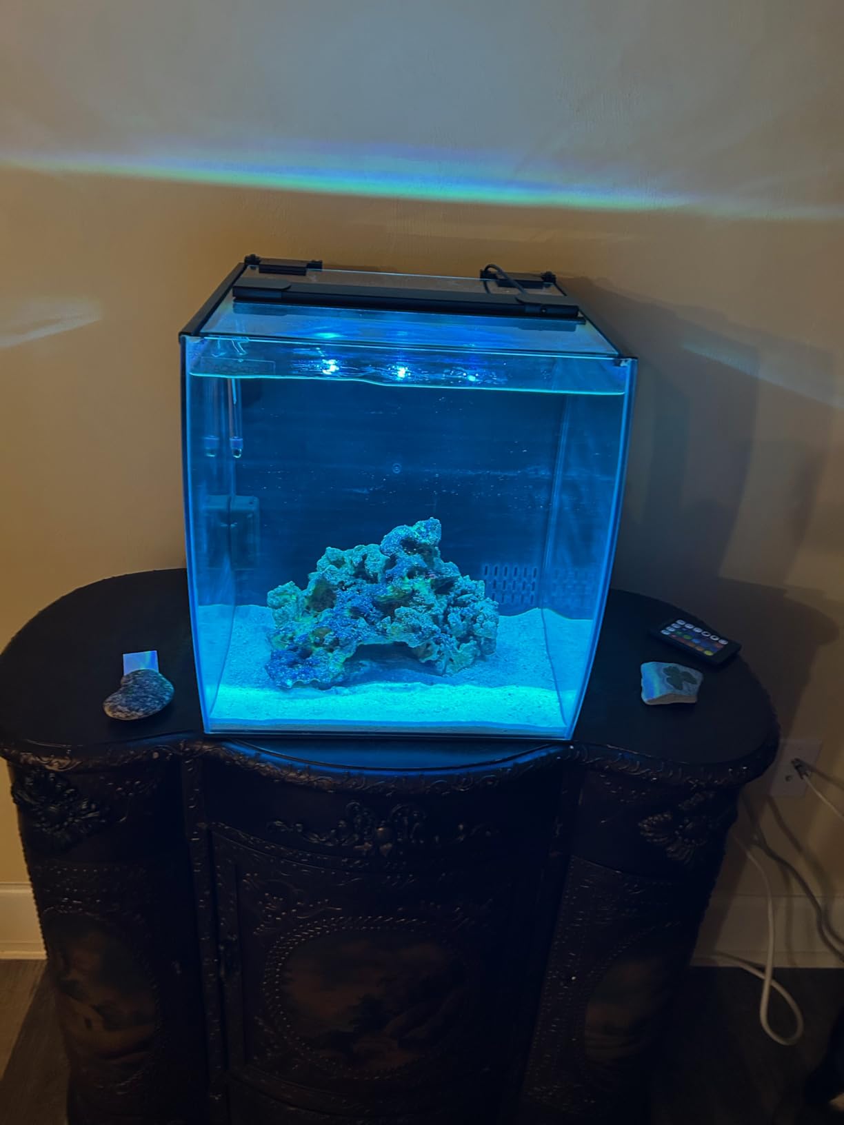 Aquatop 8.6 Gallon Bow Front Glass Aquarium Kit with Filter and LED Lighting - All in One Desktop Fish Tank, Ideal for Freshwater and Saltwater, BFK-08 customer photo 2