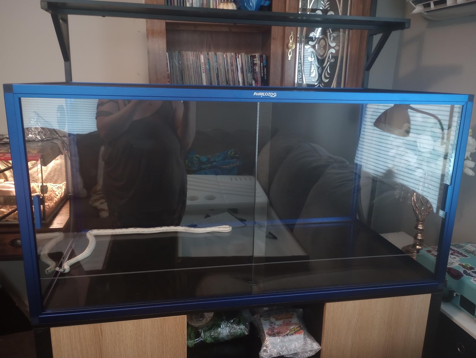 Phailozoo 50 Gallon Reptile Enclosure, Colorful Aluminum Frame Reptile Tank customer photo 2