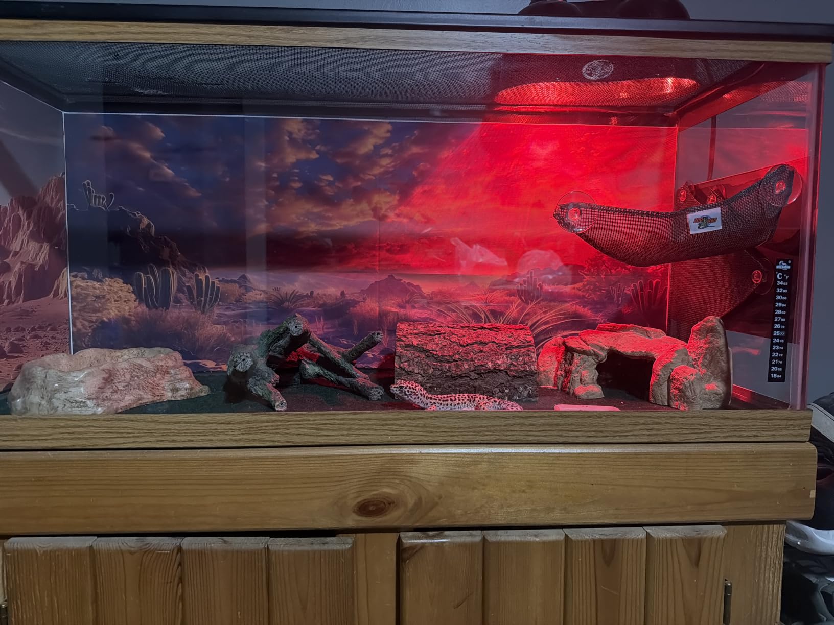 COMSUN 3 Pack Terrarium Background, 36x18 inch Polyester Reptile Background customer photo 1