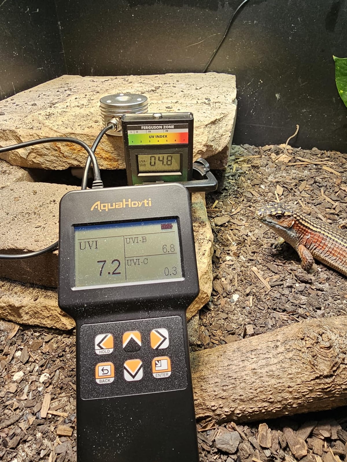 Reptile UV Index Meter,0-388.9,for UVB Fluorescent Lamp and LED Lights,Sunlight. Record UVI Distribution customer photo 2