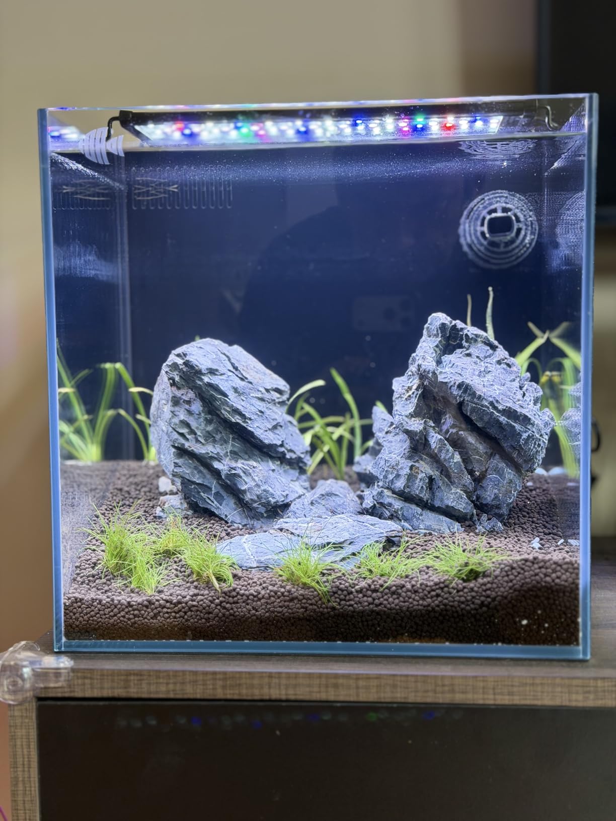 Coralland 8-Gallon Saltwater Aquarium - Ultra Clear Low Iron Glass, 45° Angled Joint Design, Crystal Clear Viewing, Perfect for Marine Fish & Reef Tanks & Freshwater customer photo 1