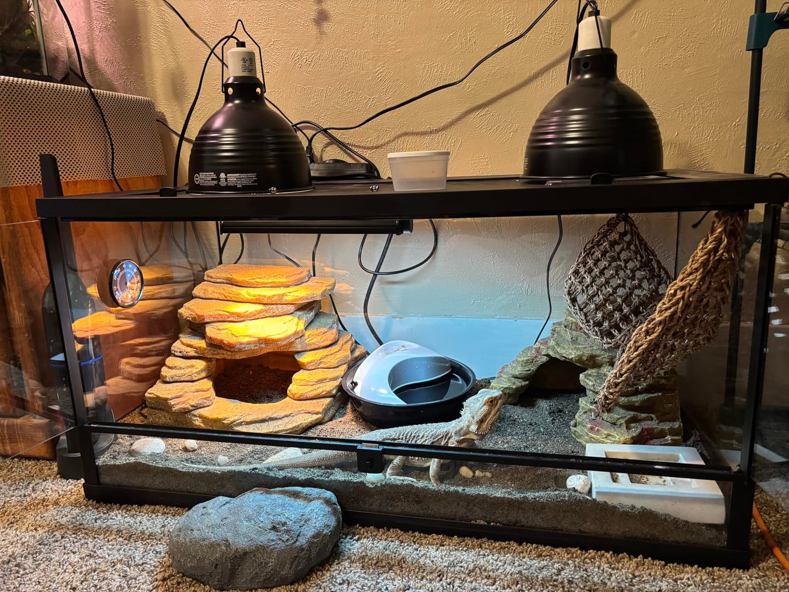 T5 UVB Reptile Light Fixture HO UVB Bulb Lighting Combo Kit, 10.0 UVB Light for Reptiles Terrarium Hood with 24W Reptile Light Bar UVA UVB Desert Lamp for Bearded Dragon Turtle Tank, 22Inch customer photo 1