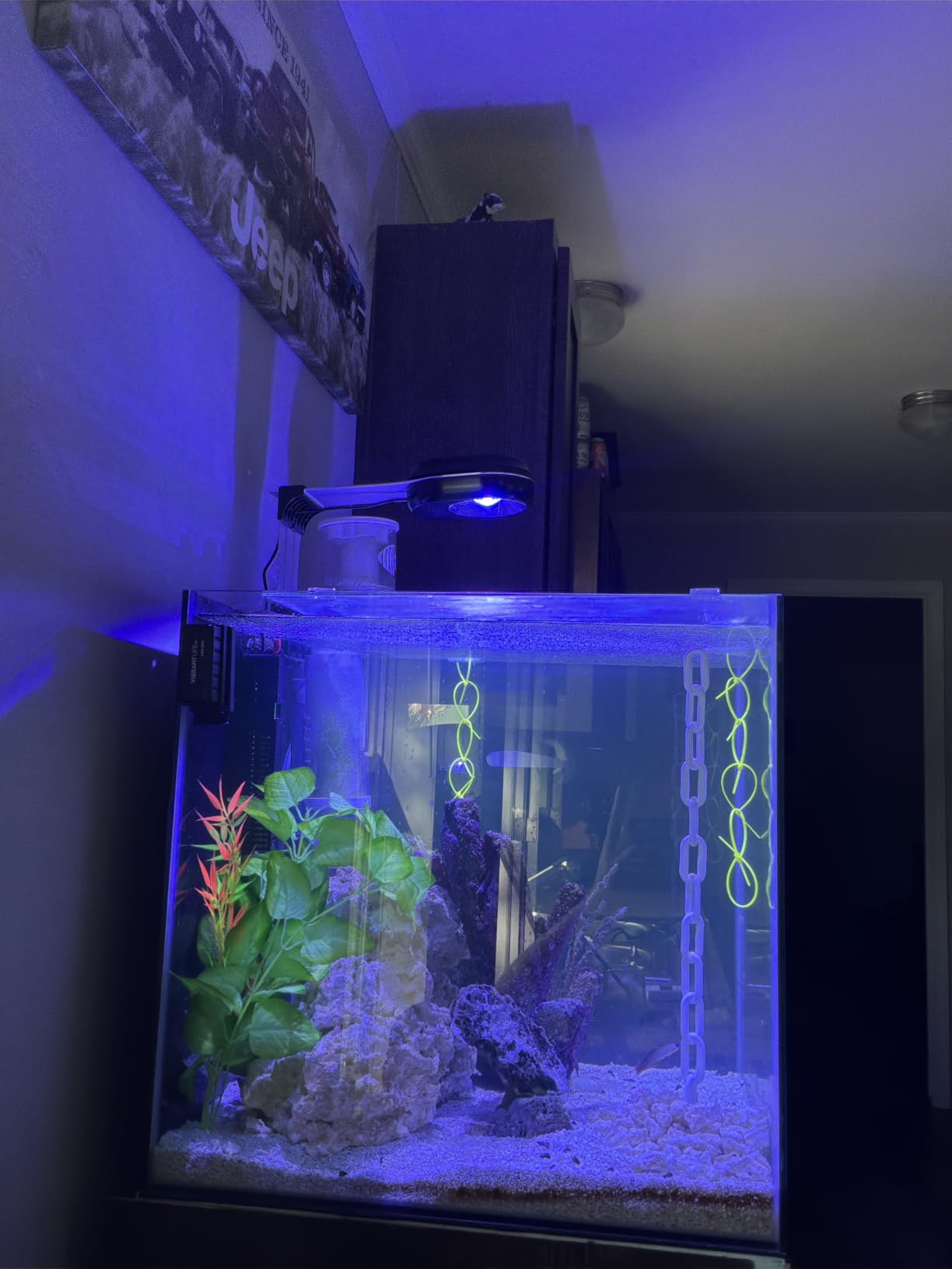 PopBloom 65W Aquarium LED Reef Lights for Corals, WiFi Smart, Rich Shimmer customer photo 1
