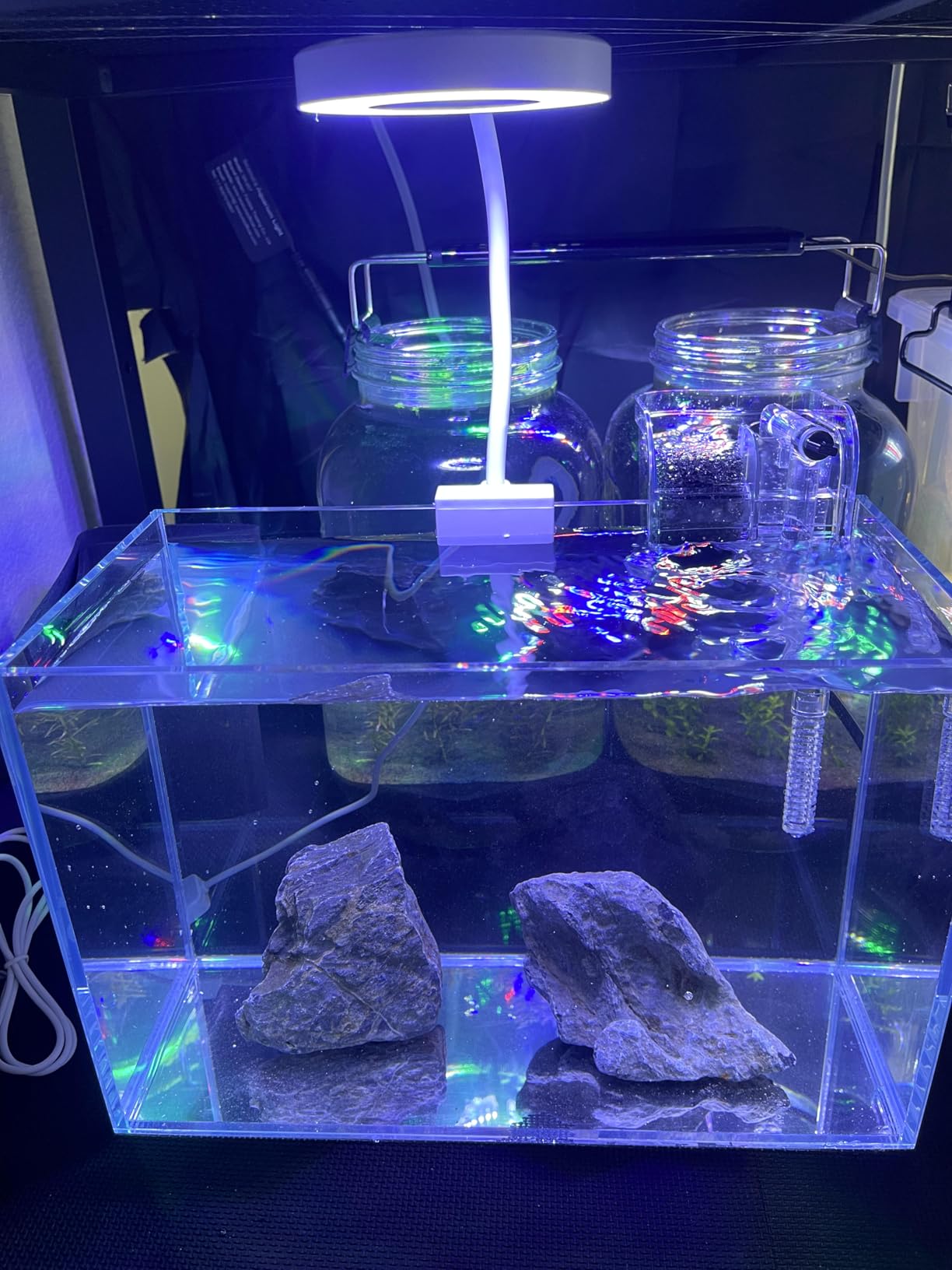 Nano Aquarium Kit 2.2 Gallon, Rimless Glass Betta Fish Tank with Filter & LED Light, 12