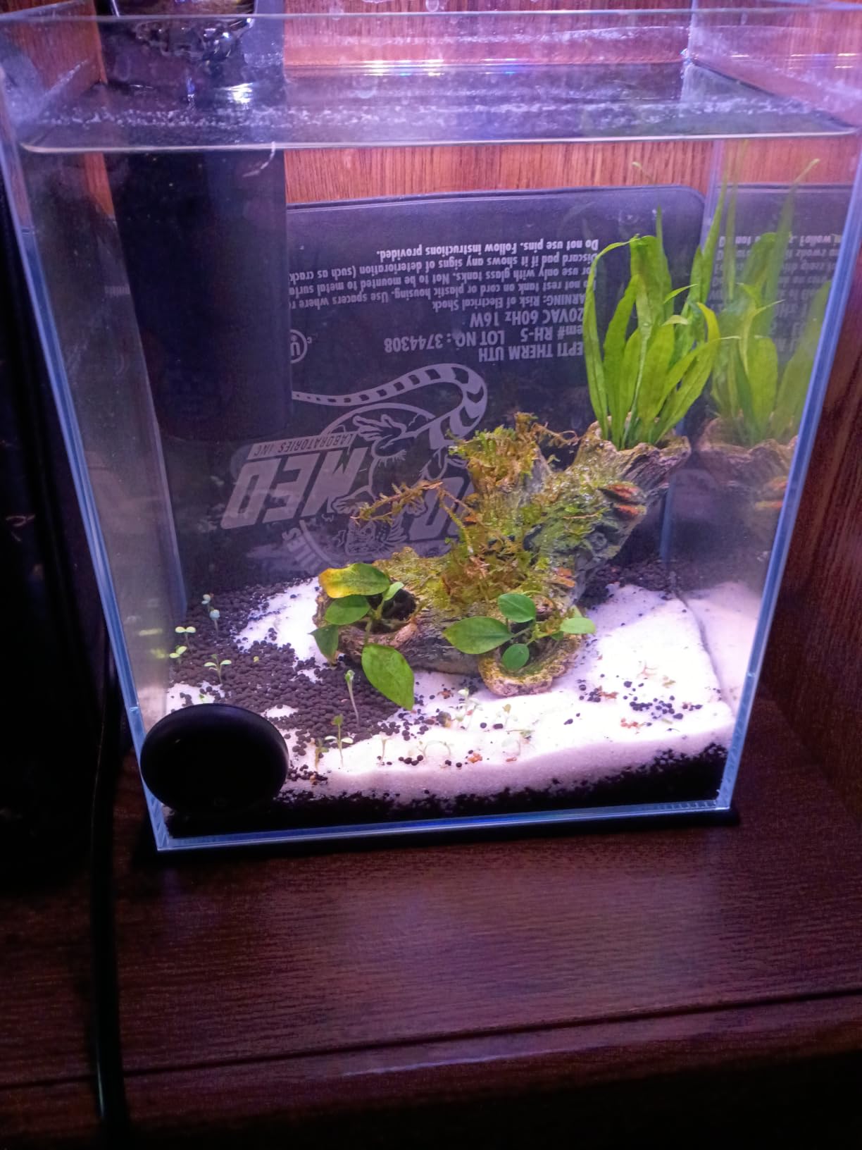 Vimvins 10 Gallon Glass Fish Tank, Easy to Maintain Small Aquarium for Betta/Shrimp and Aquatic Planting. customer photo 2