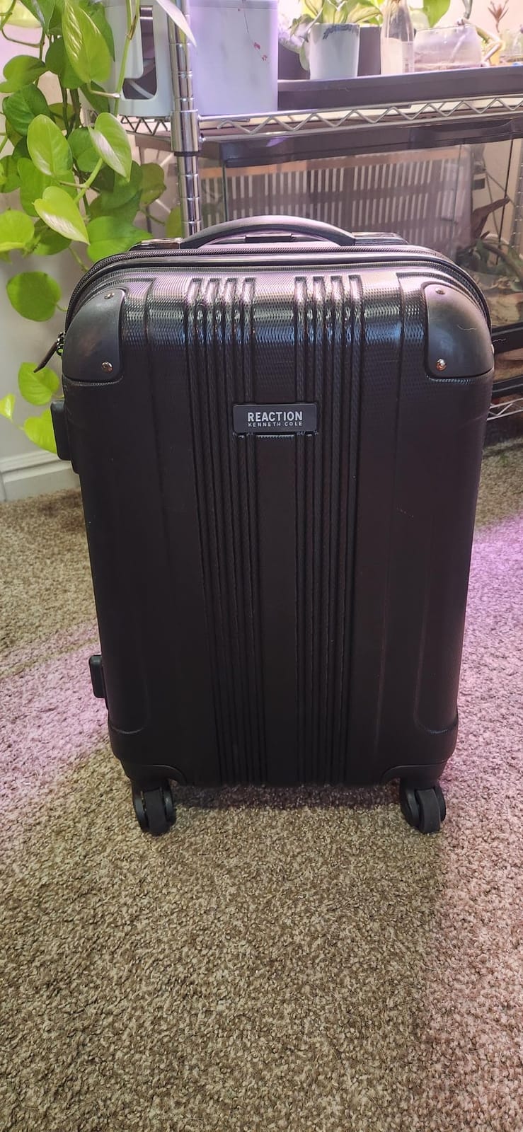 Kenneth Cole REACTION Out of Bounds Lightweight Hardshell 4-Wheel Spinner Luggage, Lavender, 20-Inch Carry On customer photo 1