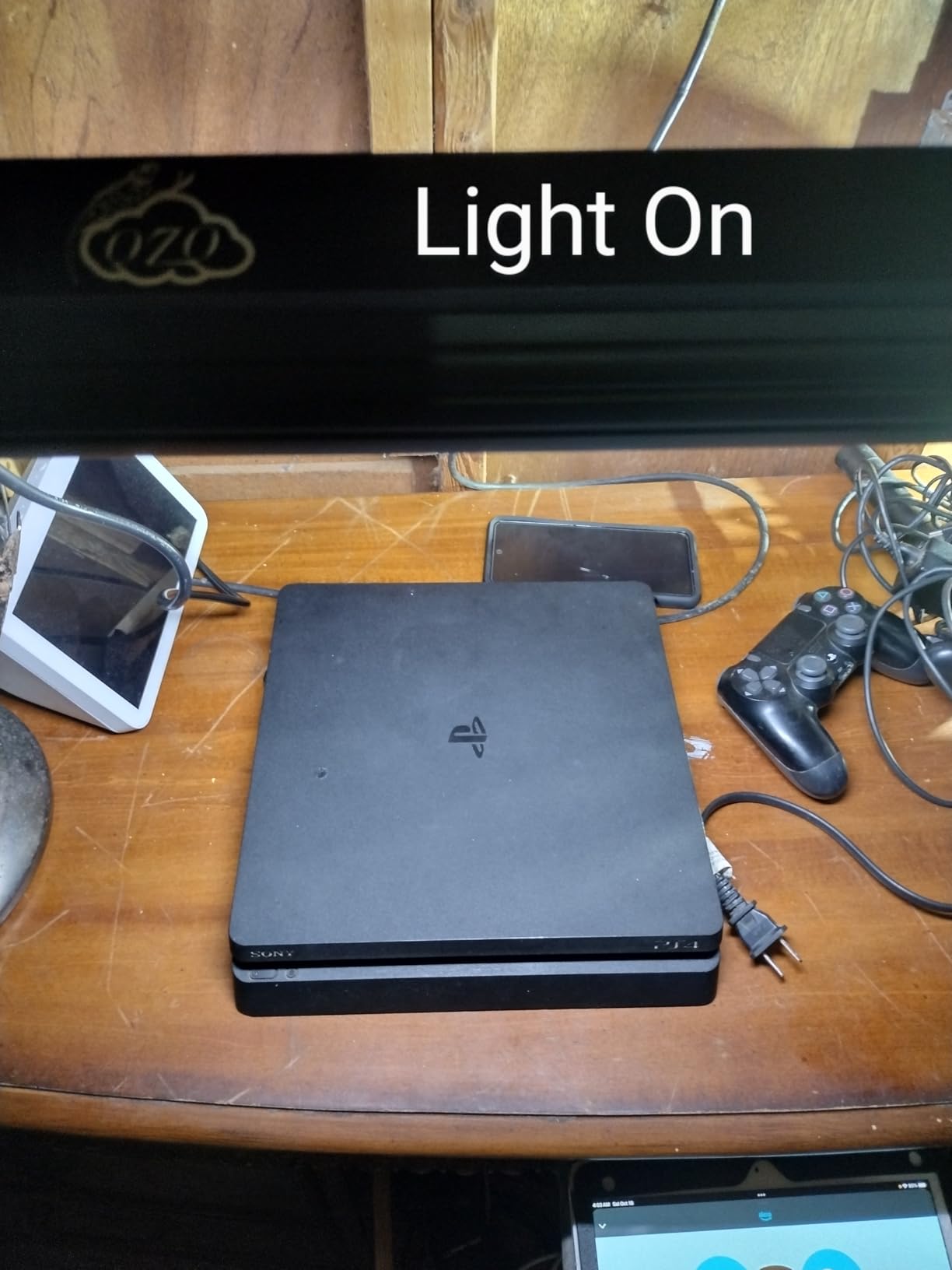 QZQ T5 10.0 UVB Reptile Light Fixture Combo Kit 8W customer photo 2