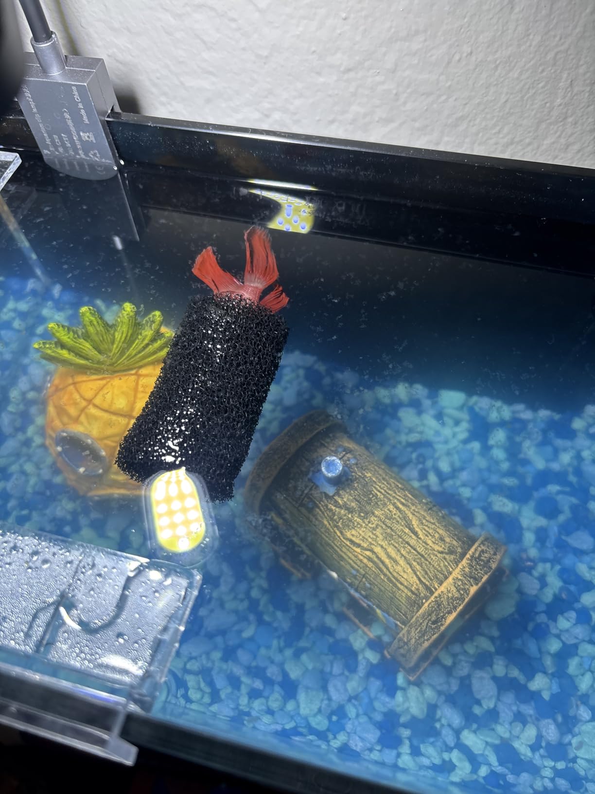 Betta Fish Tank kit,Small Nano Glass Fish Tank Start Kit with Filter,LED Light for Shrimp,Small Fish,Betta (1.5 Gallon) customer photo 2