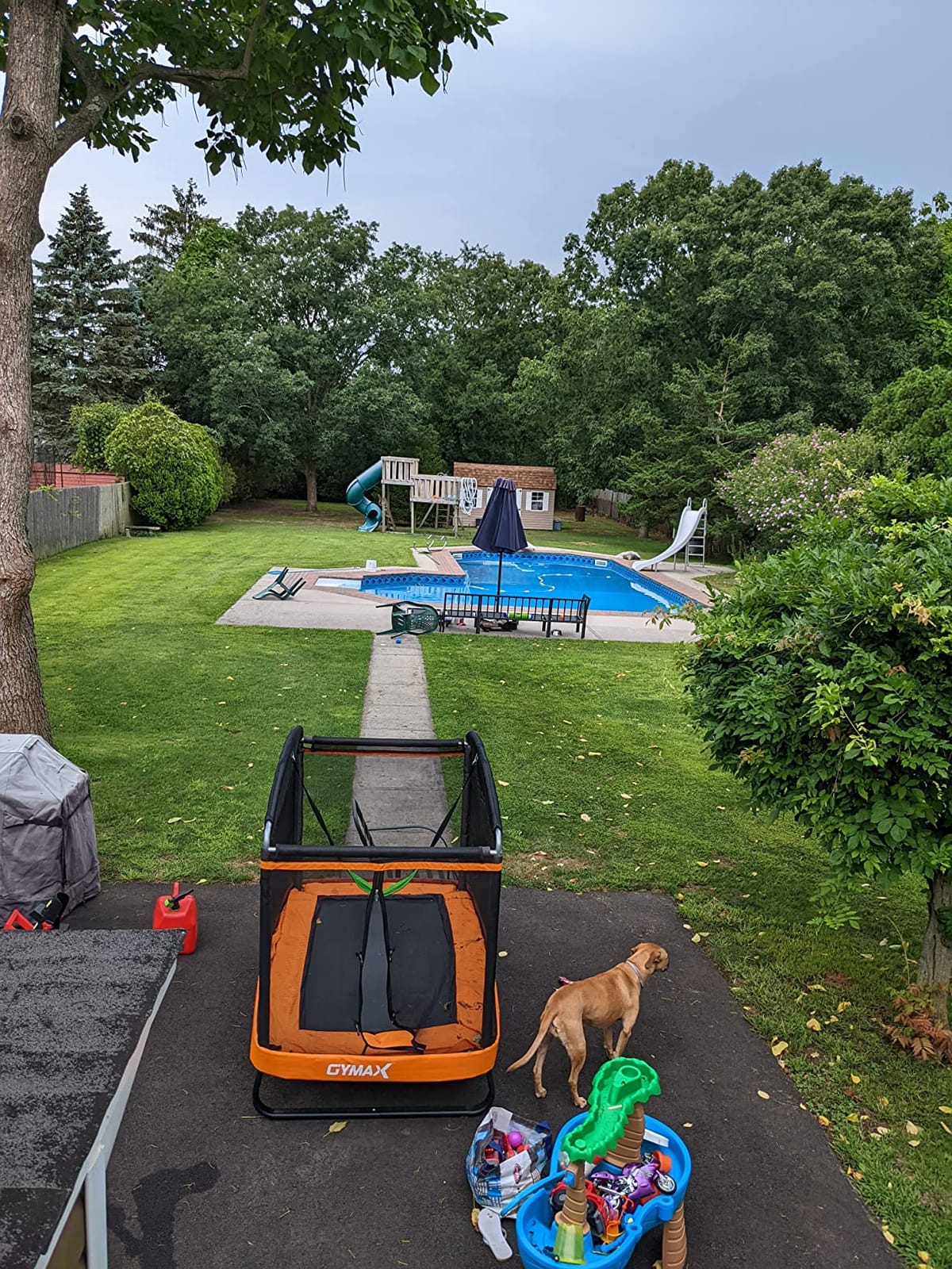 Giantex 6 FT Trampoline for Kids with Swing, Toddler Trampolines with Safety Enclosure Net, ASTM Approved, Rectangle Indoor & Outdoor Mini Kids Trampoline customer photo 2