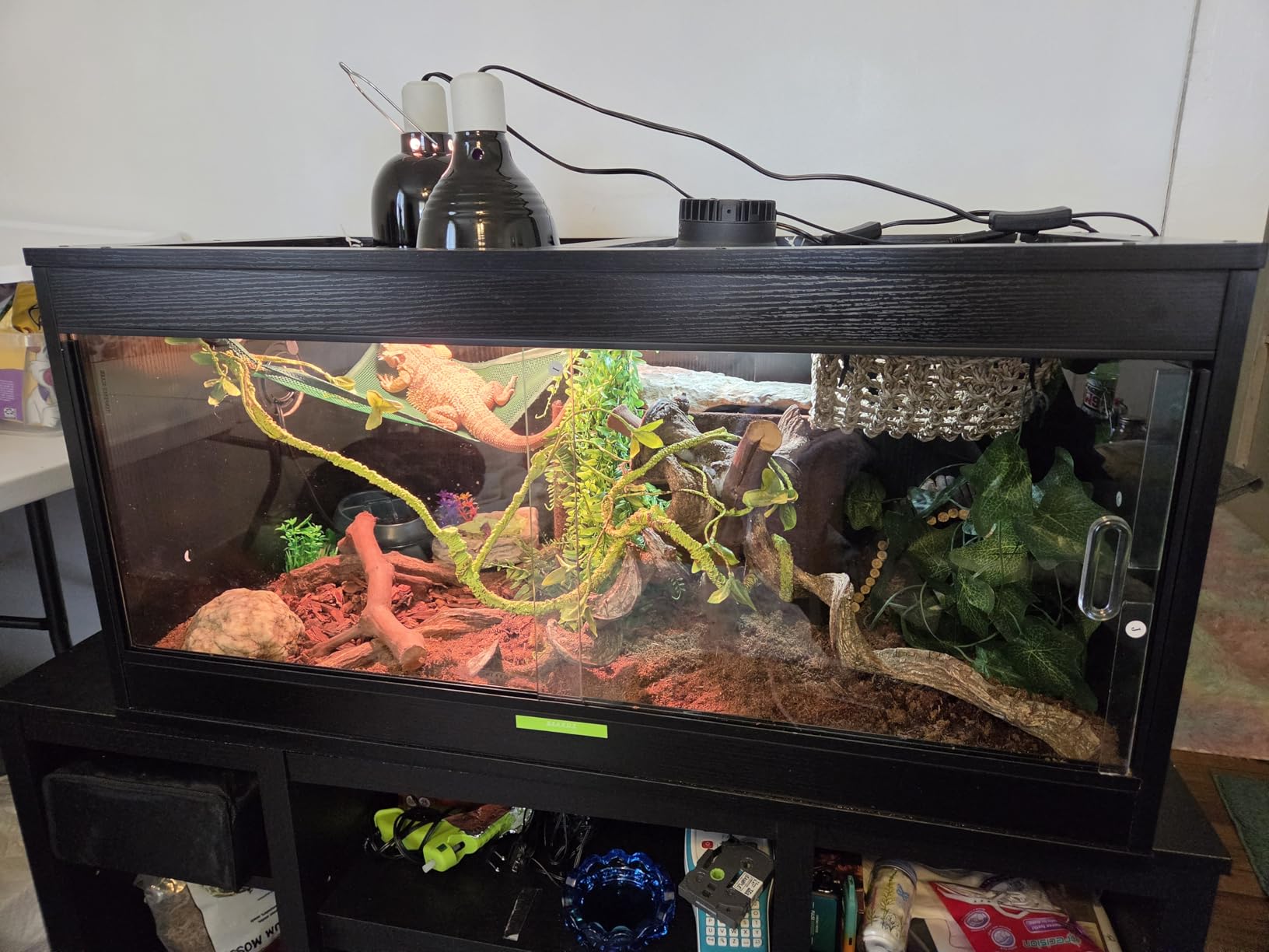 unipaws 50 Gallon Reptile Tank for Lizards, Leopard Geckos Enclosure Cage customer photo 1