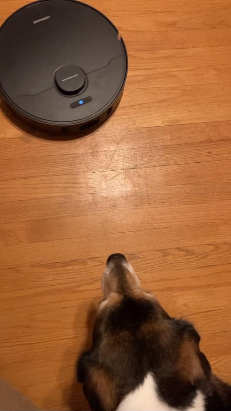 dreame D30 Ultra CE Robot Vacuum and Mop, 25,000Pa Powerful Suction customer photo 1
