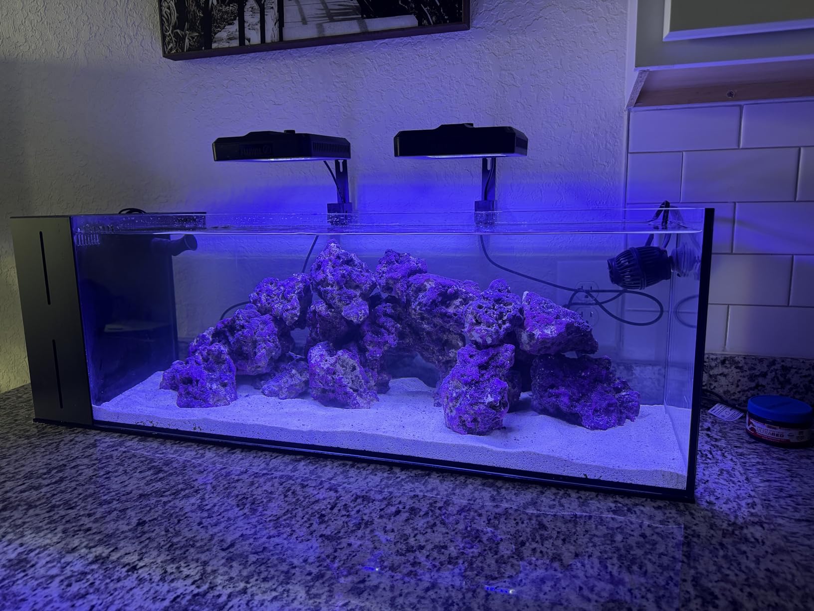 Ultum Nature Systems Dual AIO - Freshwater/Saltwater Compatible, All in One Rimless Tank with Triple Chamber Filtration System, Integrated Filter Aquarium with Leveling Mat - 10 Gallon, 60SA, Black customer photo 1