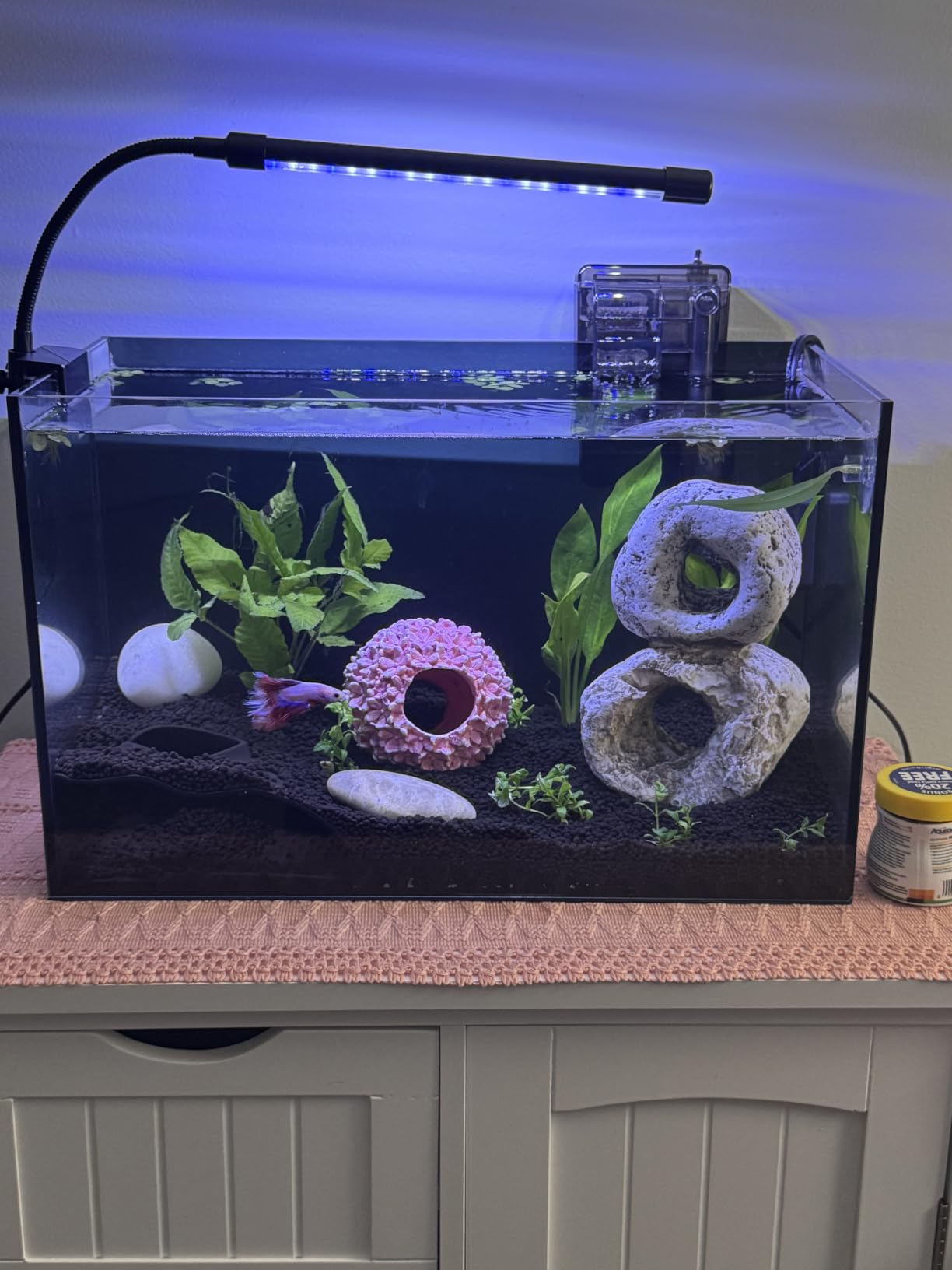 10 Gallon Glass Aquarium Kit, Rimless Fish Tank with LED & Filter, Clear customer photo 1