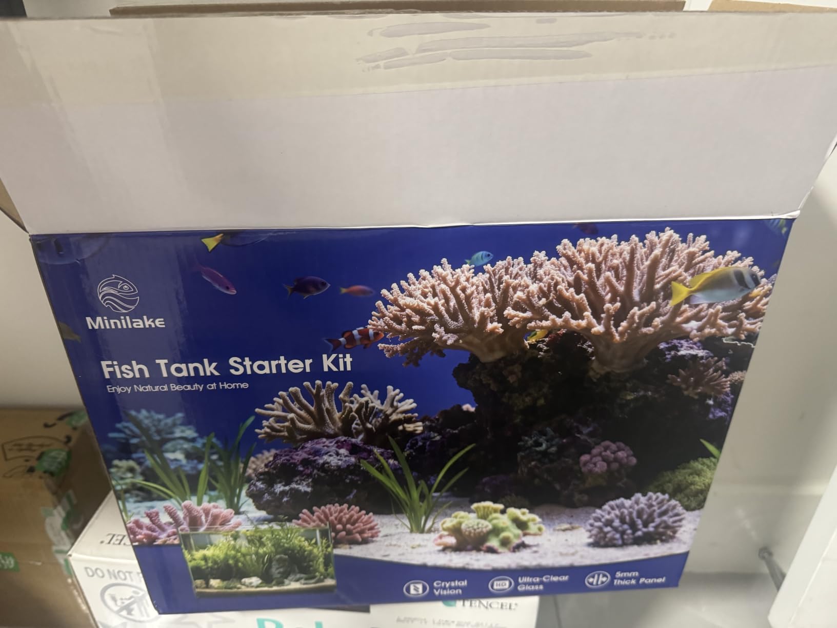 10 Gallon Glass Aquarium Kit, Rimless Fish Tank with LED & Filter, Clear customer photo 2