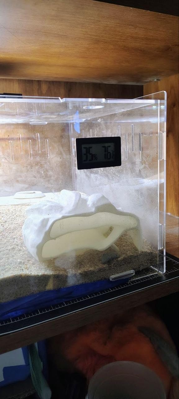 BETAZOOER Acrylic Reptile Terrarium Breeding Tank Enclosure 11.4