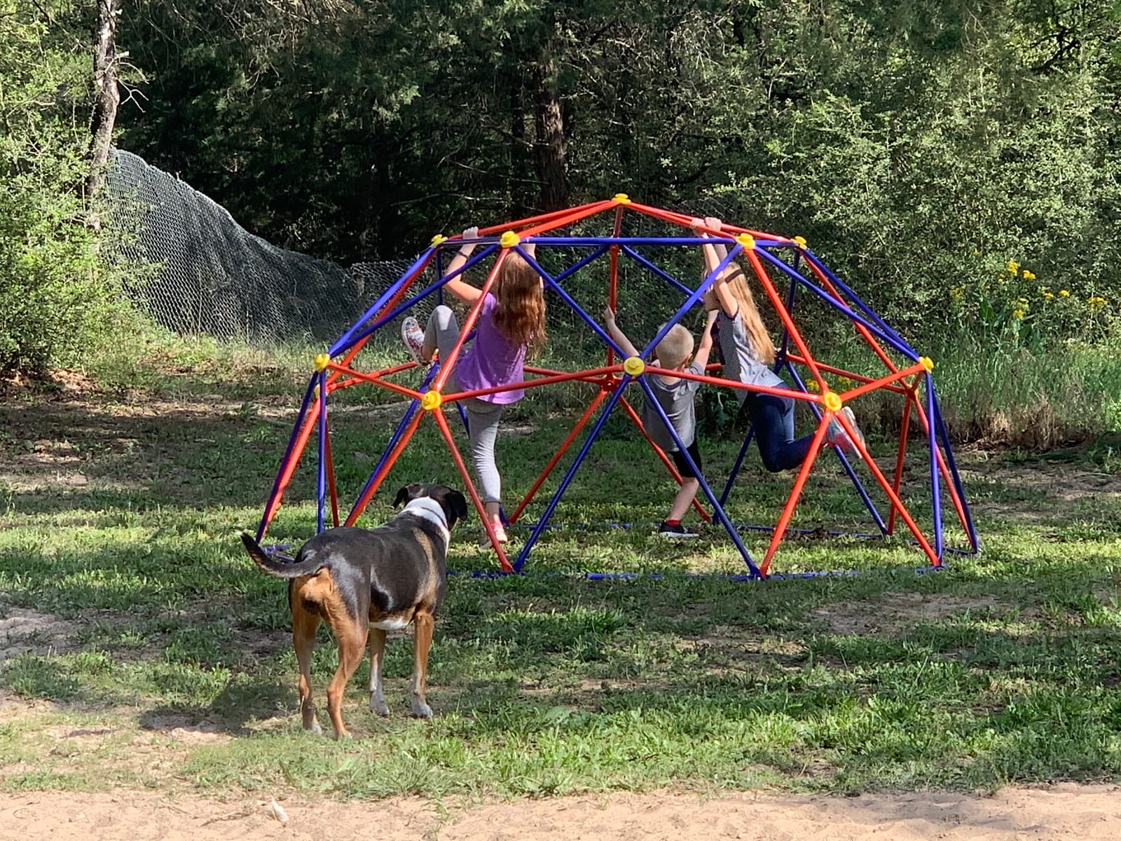 Zupapa Climbing Dome with Slide, Kids Outdoor 8 FT Jungle Gym Monkey Bar for Backyard, 2 in 1 Climbing Frame Toys for Toddlers Playground Set, Geometric Dome Climber for Kids Age 3-8 customer photo 1