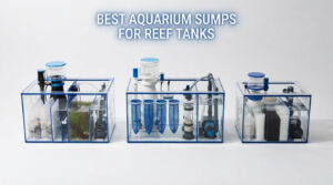 best aquarium sumps for reef tanks