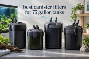 best canister filters for 75 gallon tanks